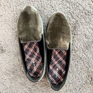 Birdies starling flat in pine (velvet)